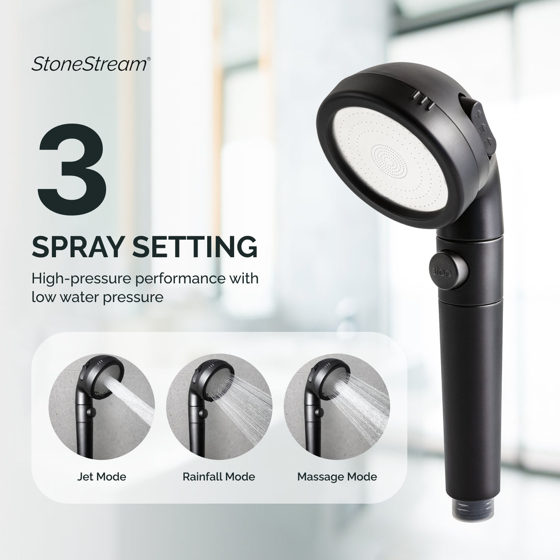 EcoPower 4-in-1 Vitamin C Black Shower Head Kit
